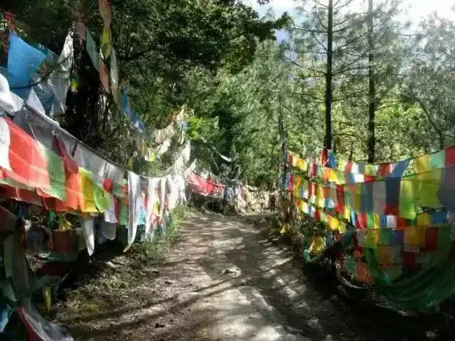 探秘西藏最神秘的树葬习俗地区卓龙沟