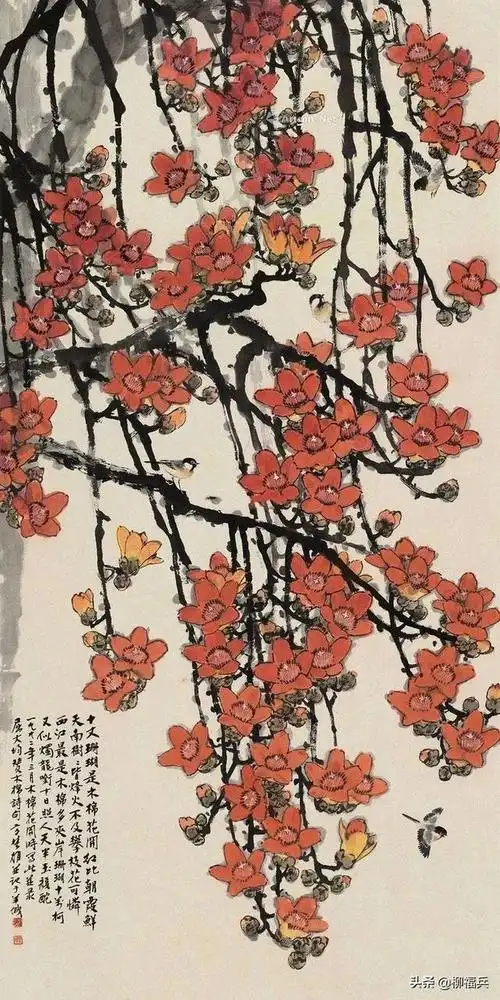 名家花鸟画《木棉花》欣赏_网易订阅