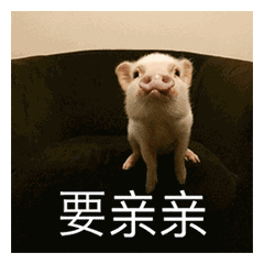 每日一囧撩人专用亲亲表情