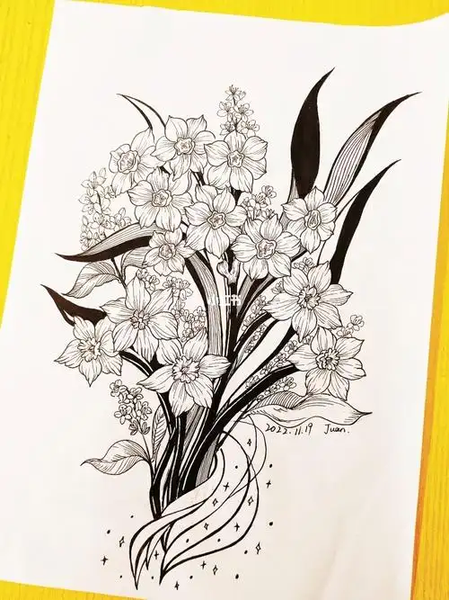 黑白线描临摹植物花卉四时花旅