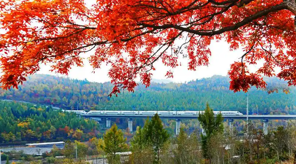 组图这条铁路被称为东北最美高铁沿线风景美不胜收3