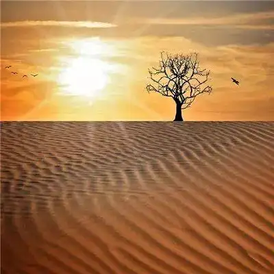 适合男生用的成熟男生微信头像