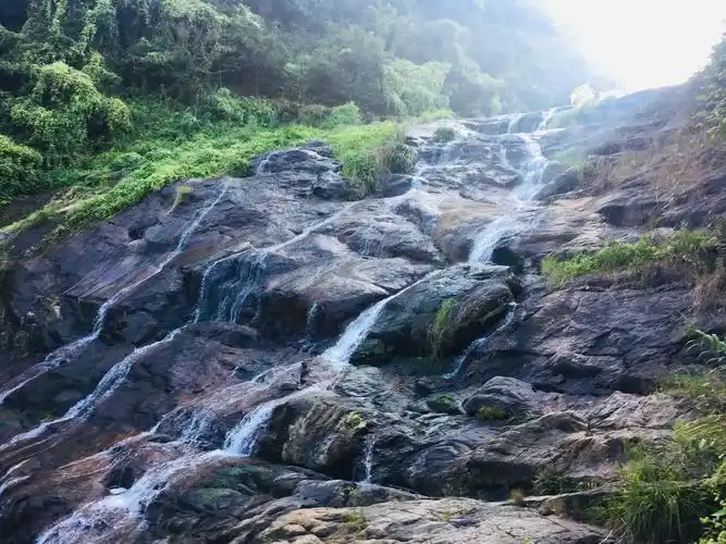 深圳市坪山新区马峦山郊野公园