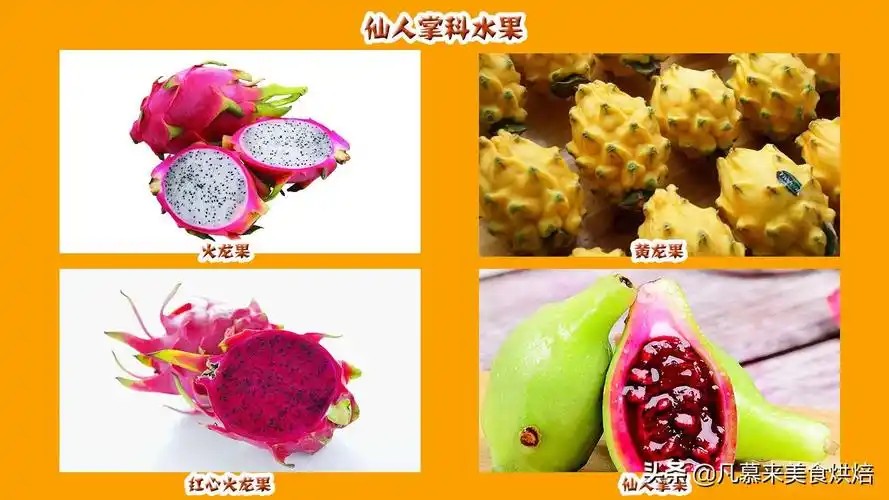 水果大全(水果分类有哪些?