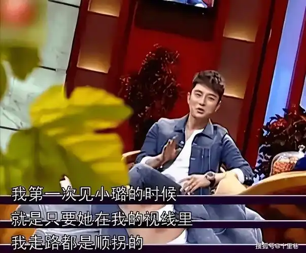 我这辈子最后悔的决定,就是12年前劝女儿嫁给贾乃亮_中央歌舞团_时候