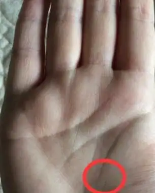 手相有两条生命线这种特征的人,必定是长寿之人