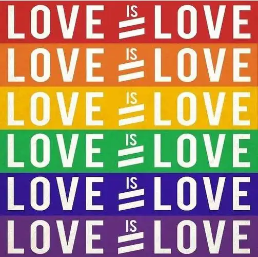 谨以此献给努力活在彩虹下的人loveislove