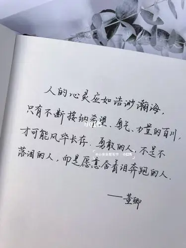 董卿励志语录|做勇敢奔跑的人9369♀15手写_百川公园_练字_每日