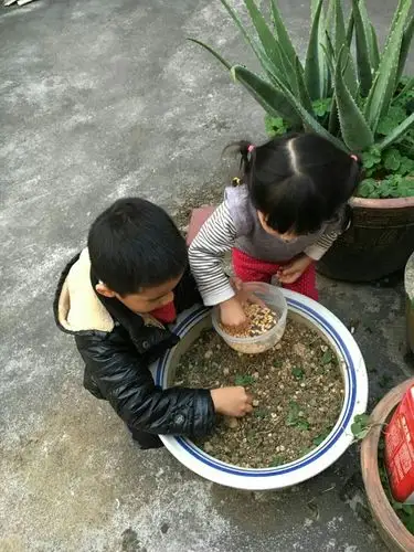 我在种瓜妹妹也来帮忙哦