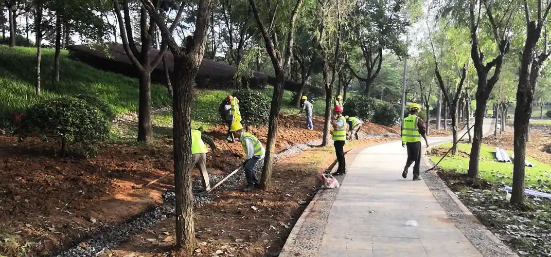 陶朱路公园 雨水花园 生态沟施工