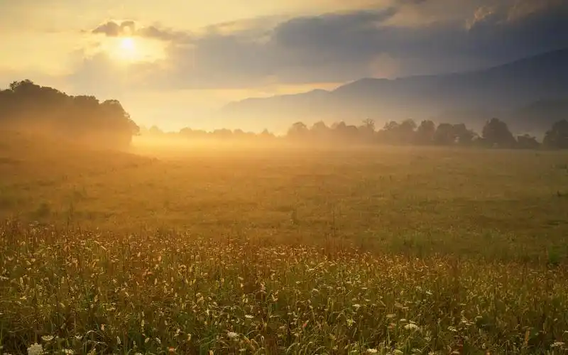 风光合集宽屏 第50辑(9/20)