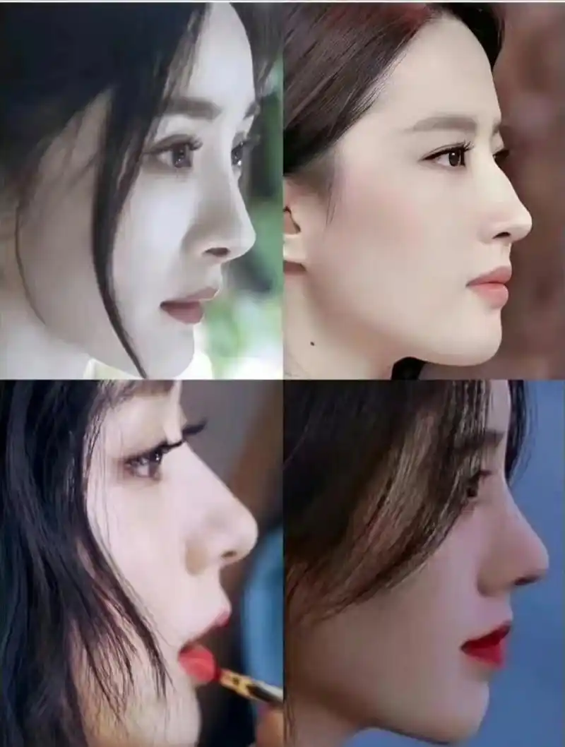 女明星们的"名品鼻"太绝了,你更喜欢谁的鼻型 67?