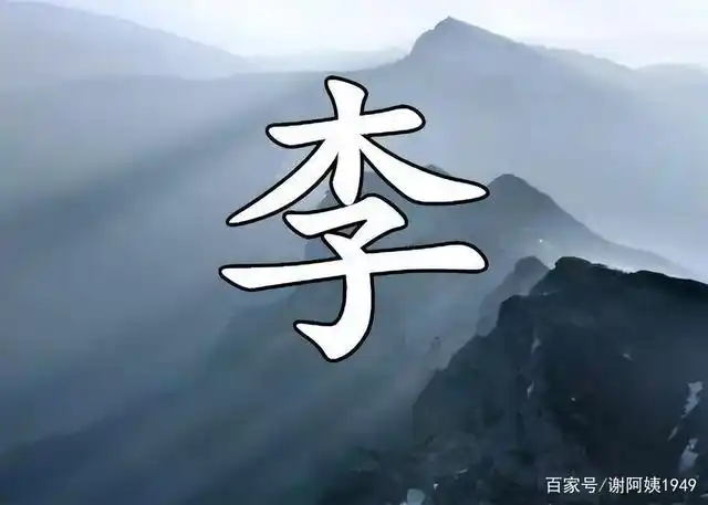 李姓,是我国人口大姓,位居全国第二位,也是我国姓氏超过亿人的大姓.