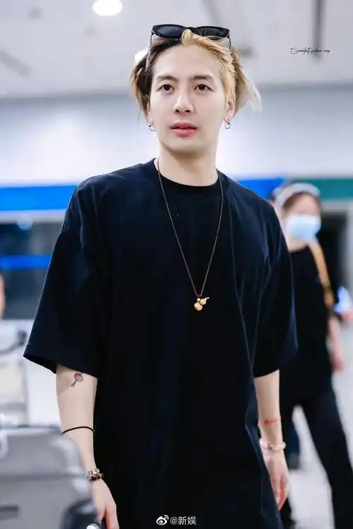 王嘉尔|演唱会|巡演_新浪新闻