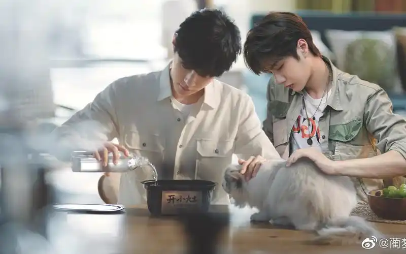 《博君一肖》95个绝美瞬间