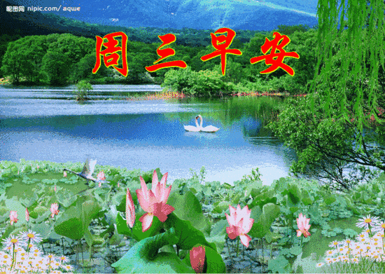 星期三最新清晨早上好问候动态表情图片,周三早安祝福语动态美图