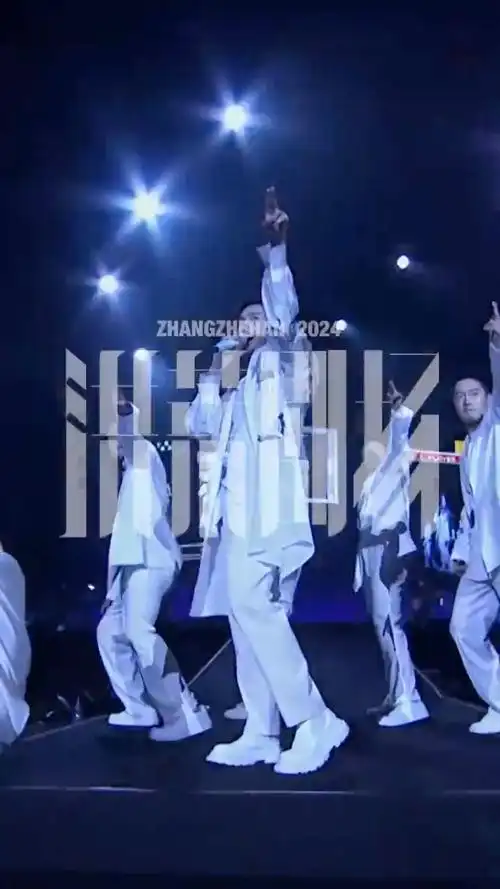 张哲瀚中国9396演唱会—《头号玩家》[水稻]