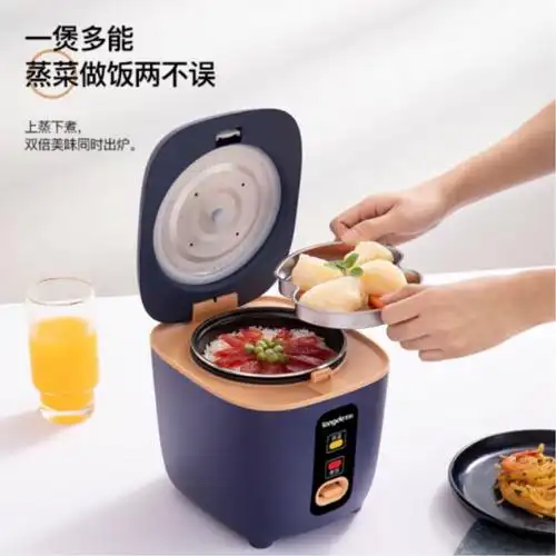 龙的 家用小型迷你煲 电饭煲电饭锅小2人1.