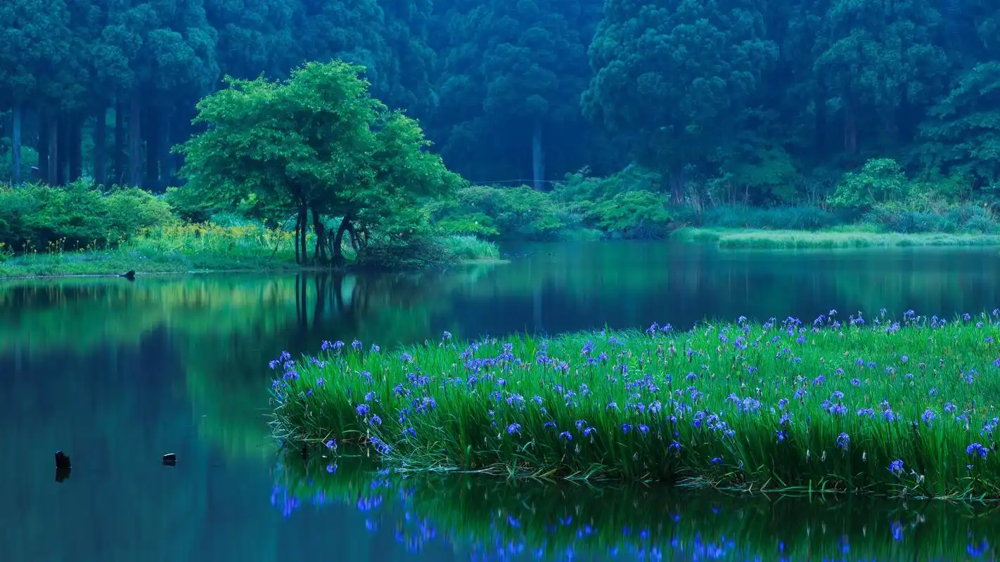 绿色护眼清新风景壁纸精选(下)高清大图预览1920x1080_风景壁纸下载