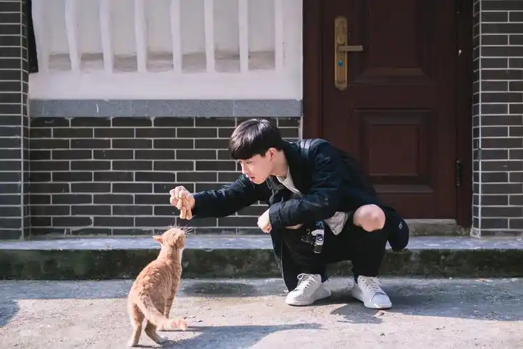 吴宇恒 - 堆糖,美图壁纸兴趣社区