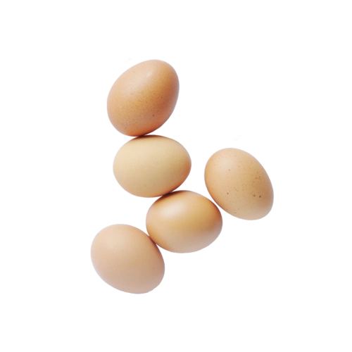 实物食物图片大全