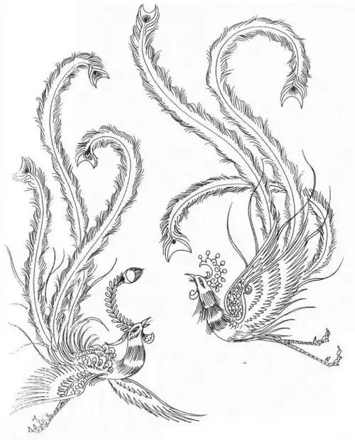 素材丨一组神鸟凤凰白描图谱