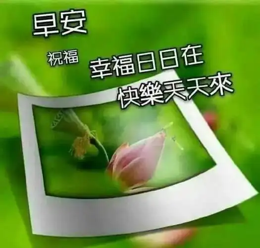 2021早上好问候祝福语图片 最新早安问候语动态图片表情