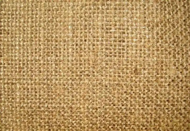 你知道麻纤维有多少种吗