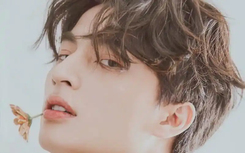 【mewgulf‖缪糕】大雾四起,偷偷藏匿,我在无人处爱你.