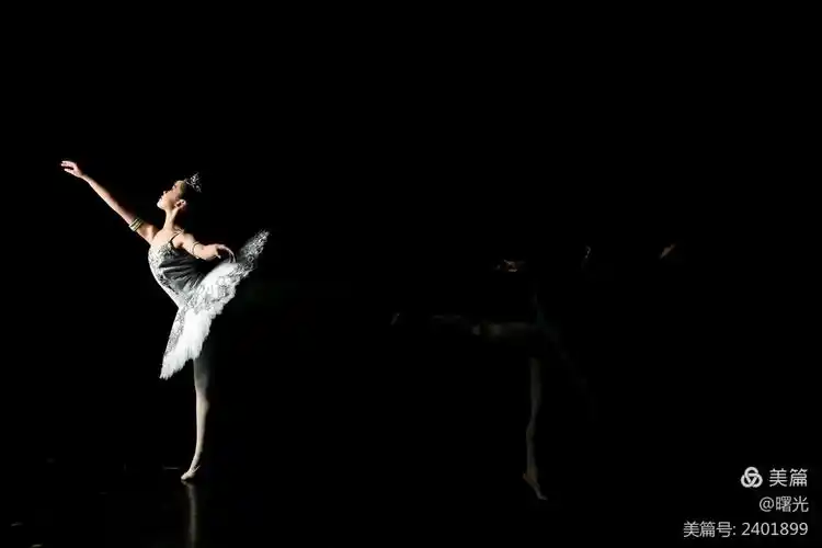 在宁波大剧院记录了:专业丽芭蕾舞蹈室——学员们专场演出的舞姿