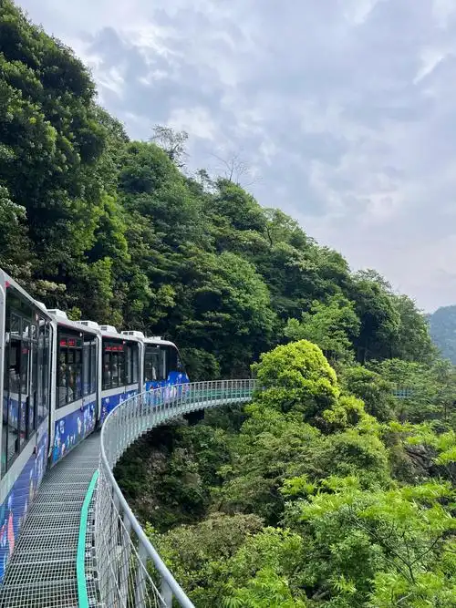 百家文旅接力赛#五一我去了江西的大觉山,体验了一把"无痛爬山",简直