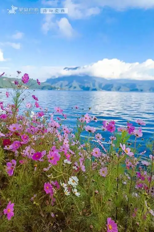 九月_阳光里_湖畔