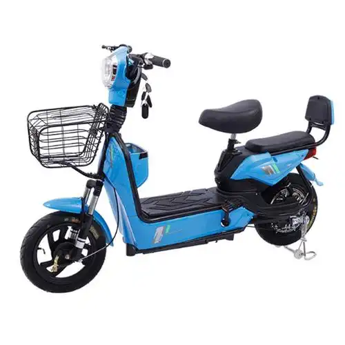 双人电动车自行车视频