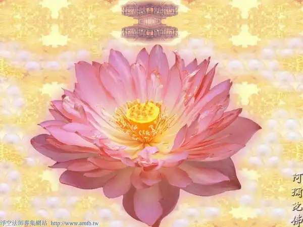 净土法门法师成就不可思议功德