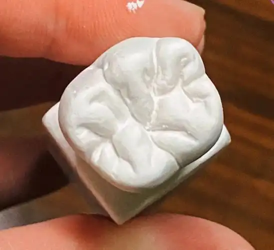 口腔医学技术牙齿雕刻