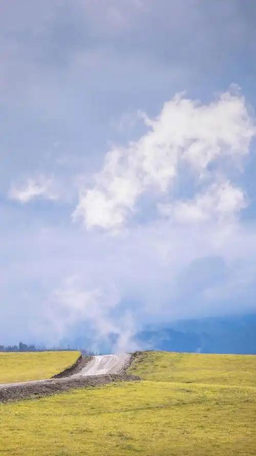 清新养眼的自然草原优美风景