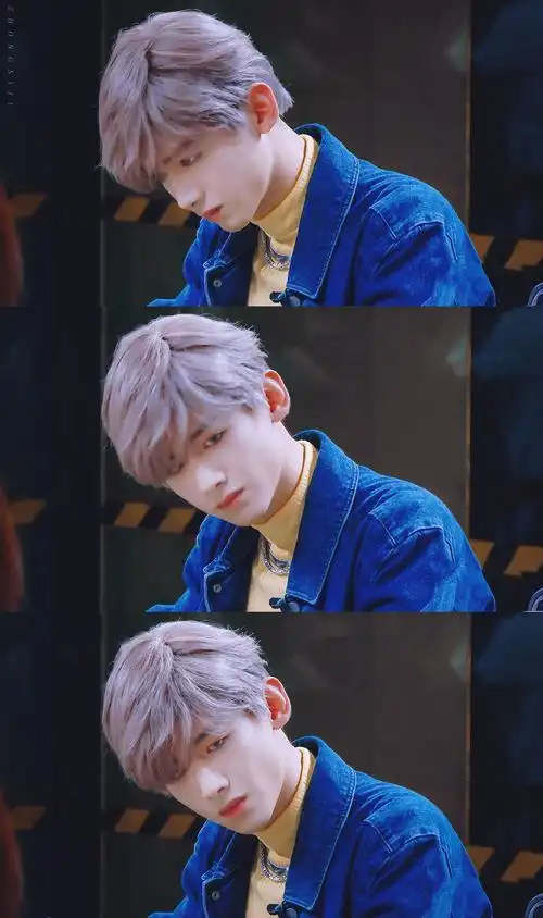 白敬亭 明星大侦探