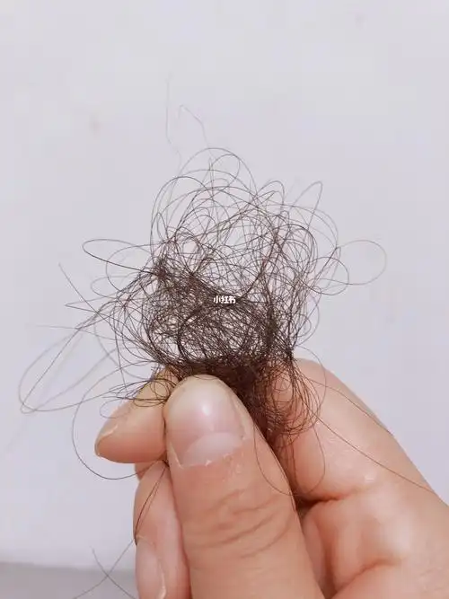 每背一个财管公式就会掉一根头发