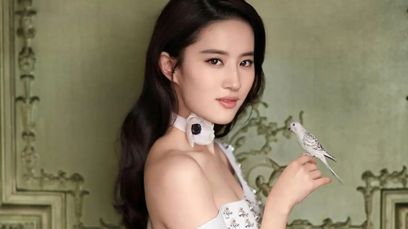 美女女神刘亦菲复古时尚大片写真高清电脑壁纸