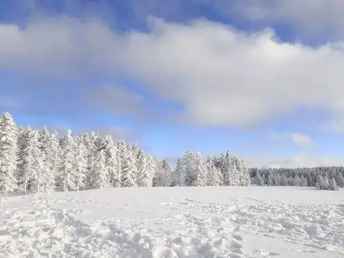 长白山林海雪原——老里克湖