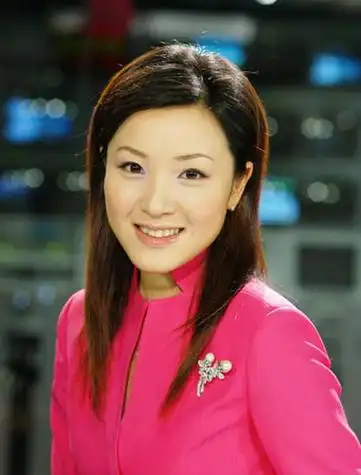 央视财经频道章艳:媒体应扮演客观报道角色