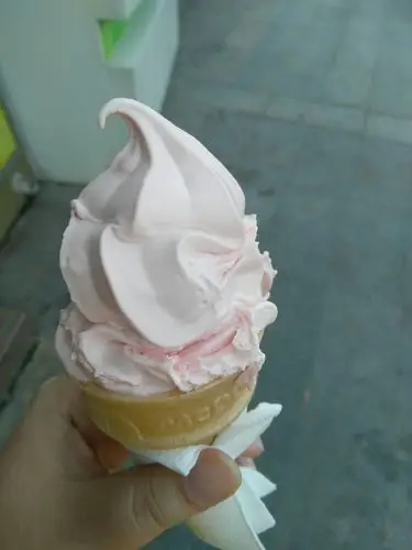 好评～不腻 很香 有点清爽 正好最近喜欢桃子,而且带明显茶味的冰淇淋