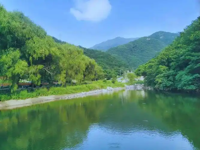 那青青的山哟那绿绿的水