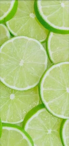 求夏日清新绿色系的壁纸