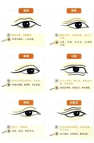 且看目光如炬——眼神照亮一生运道