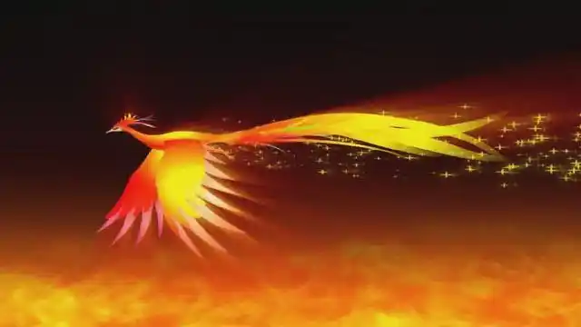 唯美凤凰太美太漂亮了