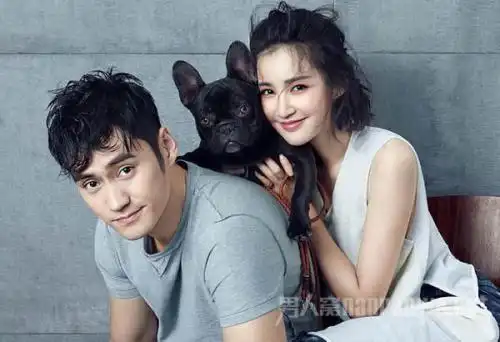 袁弘的第一任妻子是谁 袁弘为什么娶张歆艺 袁弘张歆艺有孩子吗