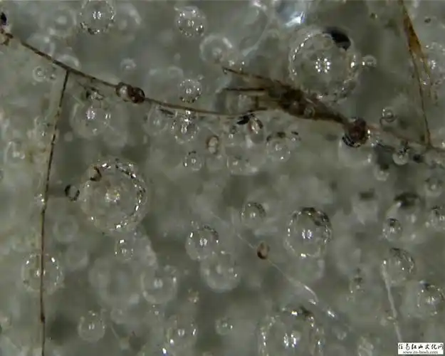 瓷器气泡还不会区分气烧和老烧气泡的区别请老师指正