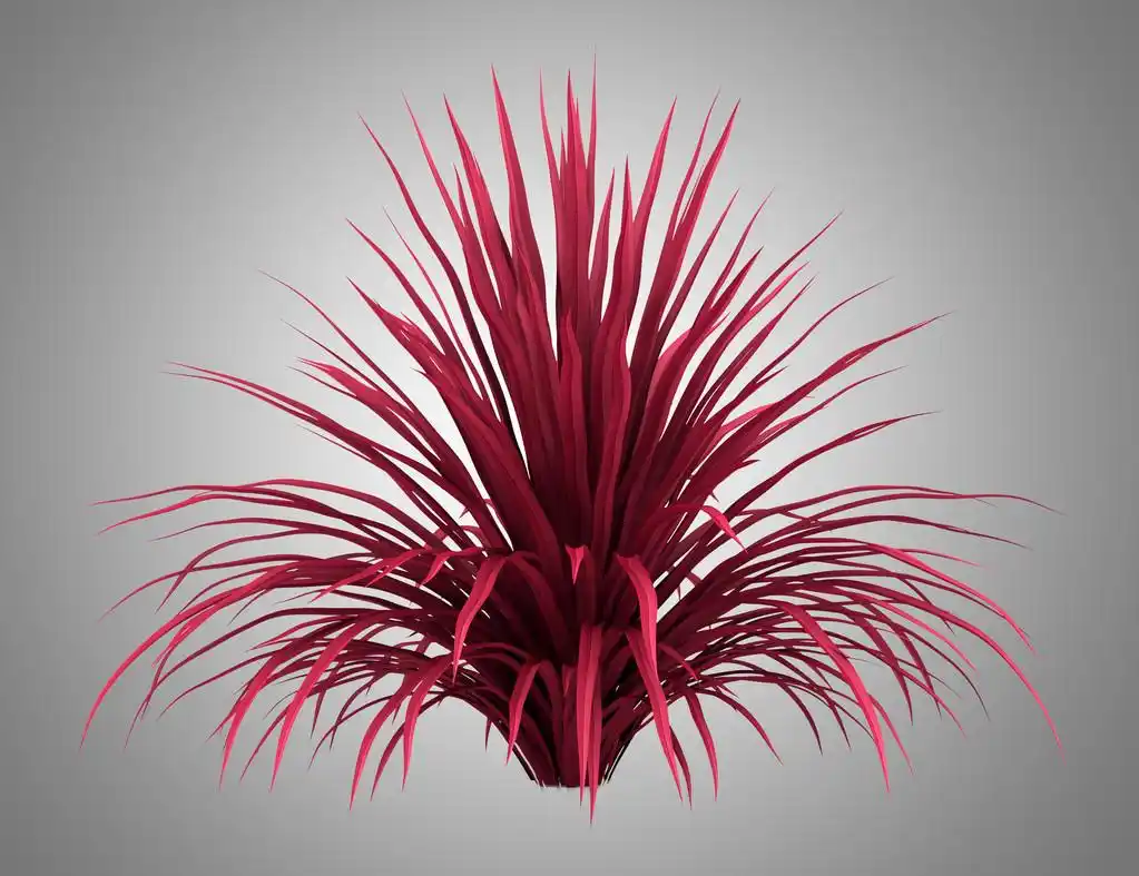 灰色背景上孤立的白菜树布什