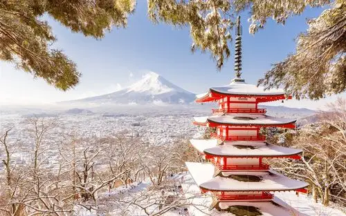日本,富士山,宝塔,冬天,雪,树木 壁纸
